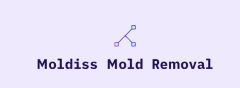 Moldiss Mold Removal